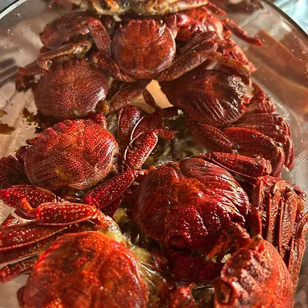 Welcome To Casa Fitz With Ocean Views And Air Conditioning * Santa Luzia (Sao Roque do Pico)