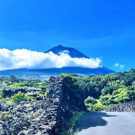 Welcome To Casa Fitz With Ocean Views And Air Conditioning * Santa Luzia (Sao Roque do Pico)