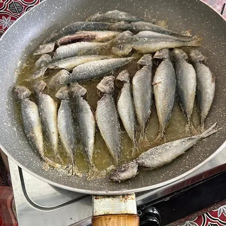 Casa de Férias Welcome To Casa Fitz With Ocean Views And Air Conditioning *