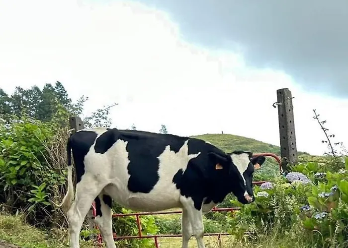 Welcome To Casa Fitz With Ocean Views And Air Conditioning Nyaraló