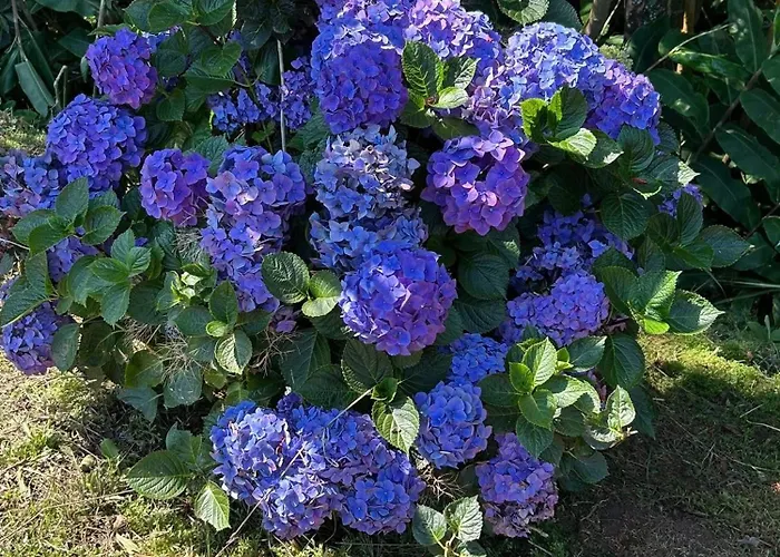 Welcome To Casa Fitz With Ocean Views And Air Conditioning Nyaraló *