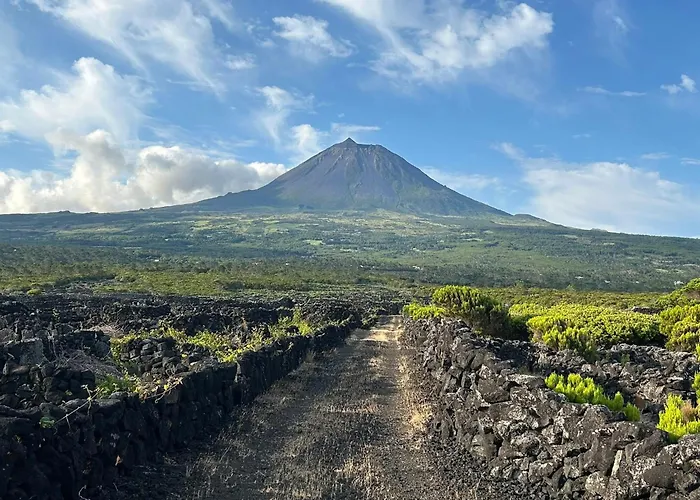 Nyaraló Welcome To Casa Fitz With Ocean Views And Air Conditioning *