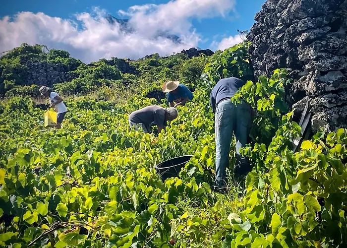 Welcome To Casa Fitz With Ocean Views And Air Conditioning Santa Luzia