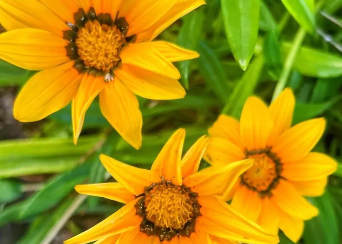 Welcome To Casa Fitz With Ocean Views And Air Conditioning * Santa Luzia