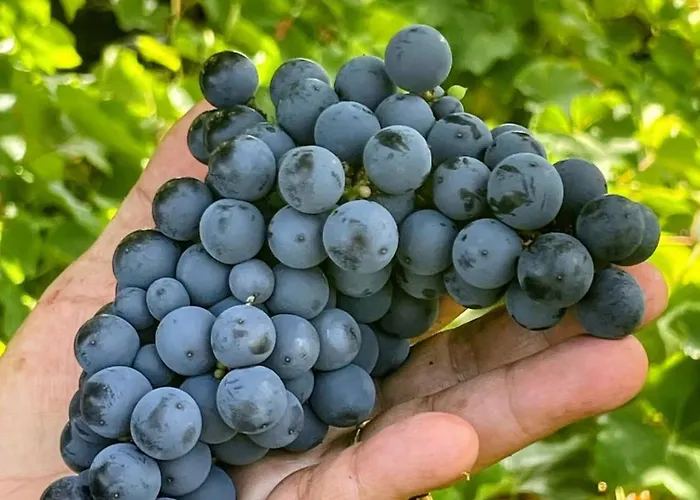 Welcome To Casa Fitz With Ocean Views And Air Conditioning Nyaraló *