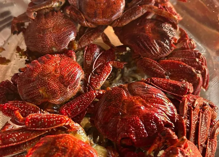 Welcome To Casa Fitz With Ocean Views And Air Conditioning * Santa Luzia