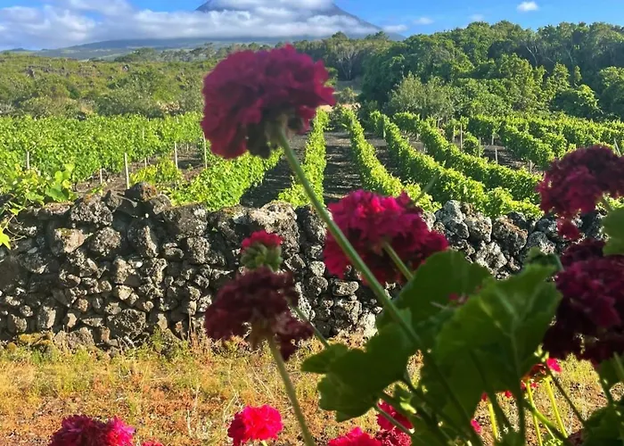 Welcome To Casa Fitz With Ocean Views And Air Conditioning Nyaraló *