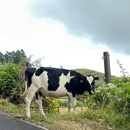 Welcome To Casa Fitz With Ocean Views And Air Conditioning Prázdninový dům