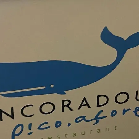 Welcome To Casa Fitz With Ocean Views And Air Conditioning