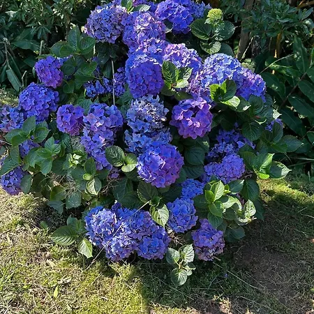 Welcome To Casa Fitz With Ocean Views And Air Conditioning Prázdninový dům *