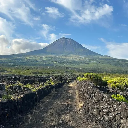 Prázdninový dům Welcome To Casa Fitz With Ocean Views And Air Conditioning *