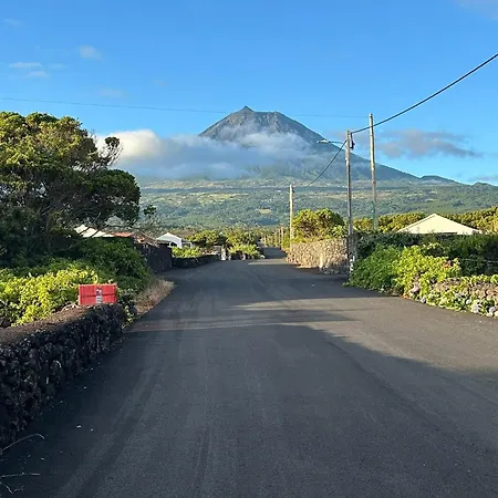 Welcome To Casa Fitz With Ocean Views And Air Conditioning