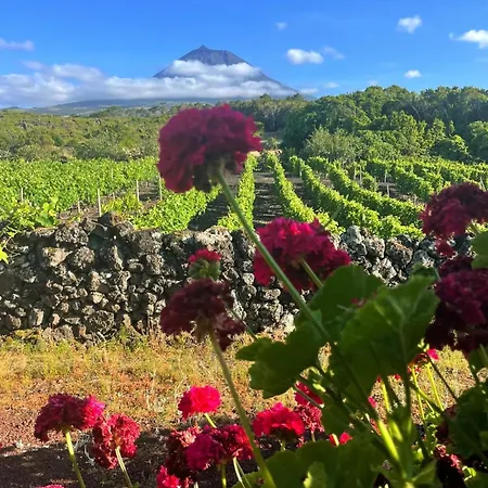 Welcome To Casa Fitz With Ocean Views And Air Conditioning Prázdninový dům *