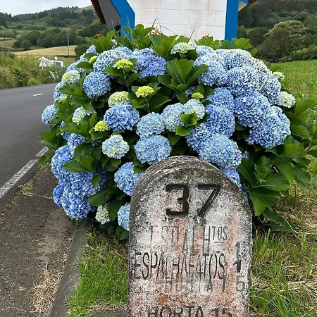 Welcome To Casa Fitz With Ocean Views And Air Conditioning Prázdninový dům Santa Luzia (Sao Roque do Pico)