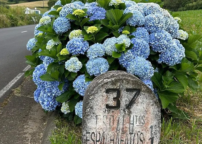 Welcome To Casa Fitz With Ocean Views And Air Conditioning Сasa de vacaciones Santa Luzia (Sao Roque do Pico)